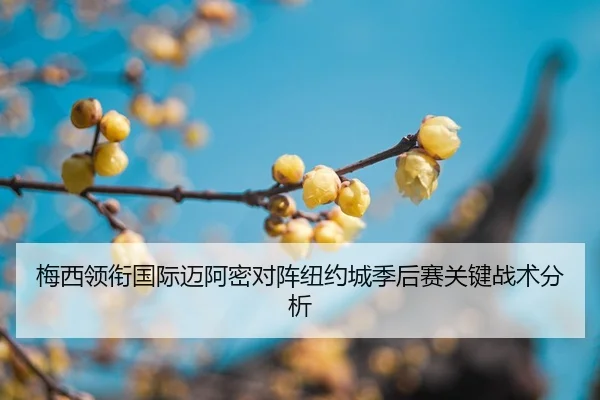 mei-xi-ling-xian-guo-ji-mai-a-mi-dui-zhen-niu-yue-cheng-ji-hou-sai-guan-jian-zhan-shu-fen-xi-2-749.jpg