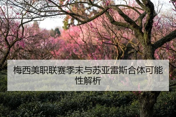 梅西美职联赛季末与苏亚雷斯合体可能性解析
