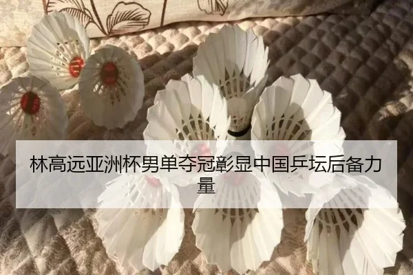 林高远亚洲杯男单夺冠彰显中国乒坛后备力量